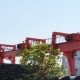 青岛物产集团